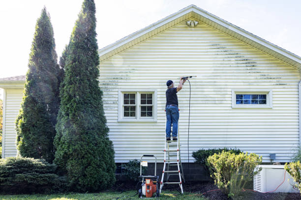 Best Window and Screen Pressure Cleaning in Juneau, WI